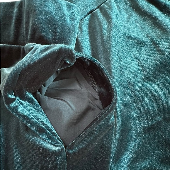 Rachel Roy Velvet Pull On Dark Green Teal Turquoise Pants Size M NWT - Picture 15 of 17